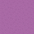 Lilac crosses