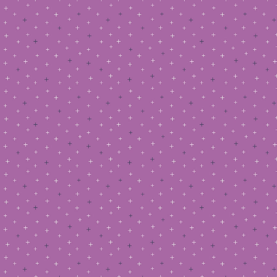 Lilac crosses
